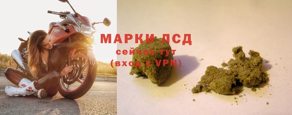 стаф Алзамай