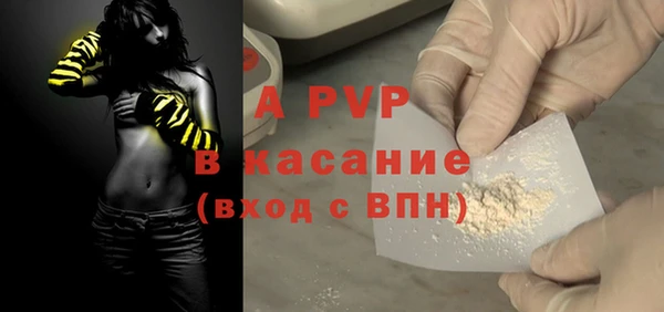 стаф Алзамай