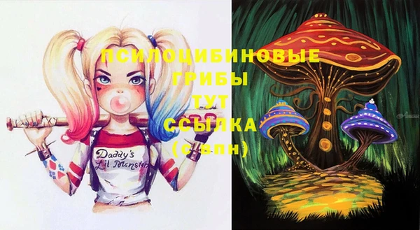 стаф Алзамай