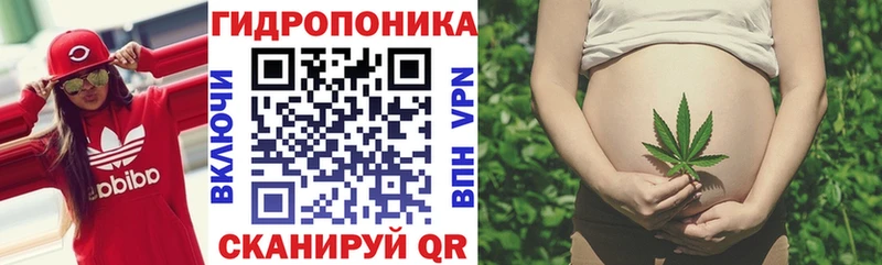 Бошки Шишки семена  как найти наркотики  MEGA ТОР  Ивдель 